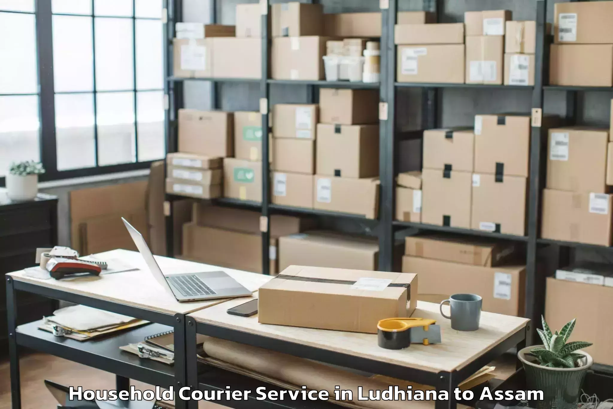 Top Ludhiana to Rupsi Airport Rup Household Courier Available